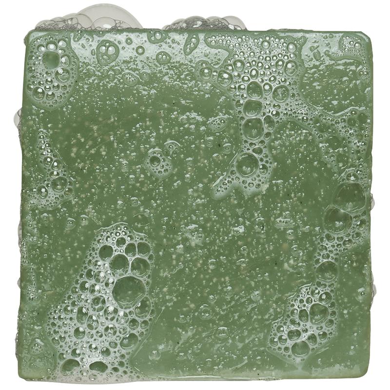 Dr. Squatch - Rainforest Rapids Bar Soap - Body Care for Men