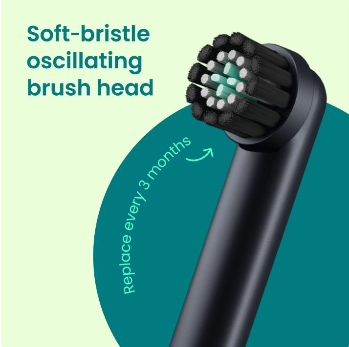 Quip 360 Oscillating Rechargeable Electric Toothbrush, Adult Compact Head, Black Night