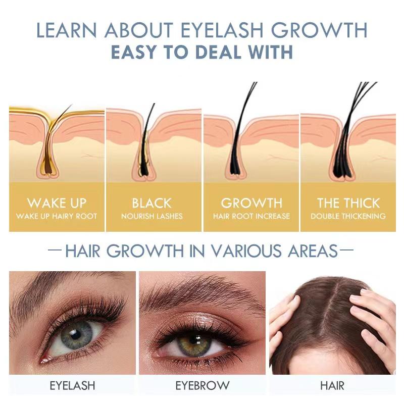 Pudaier revive therapy hair brow lash serum