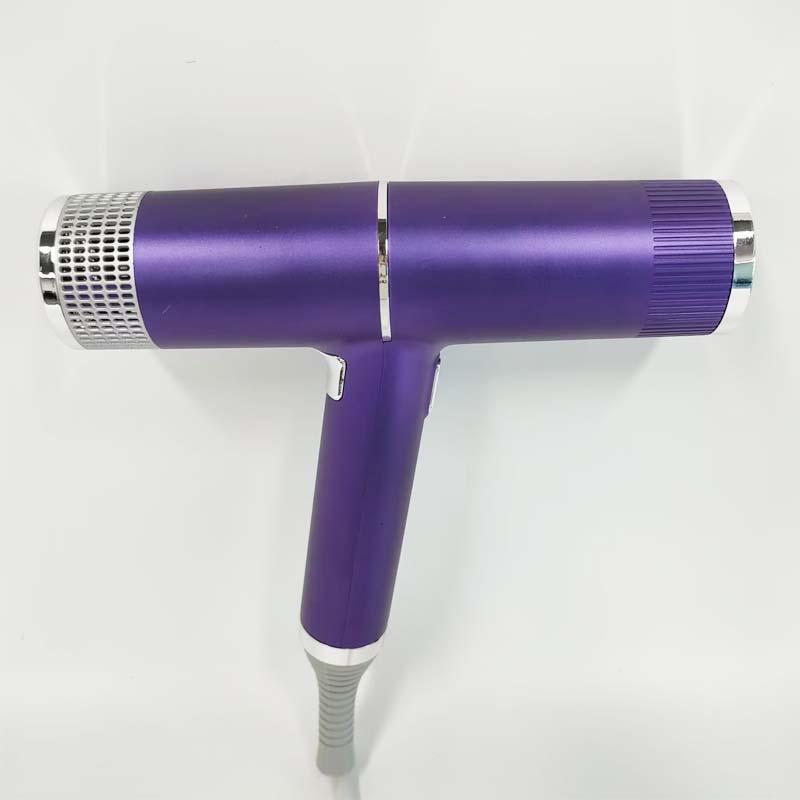 Portable Handheld Hair Dryer, Professional Negative Ion Electric Blow Dryer, Adjustable Speed Hair Dryer, Hair Styling Tool for Home & Travel