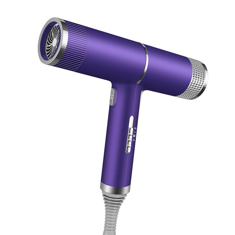 Portable Handheld Hair Dryer, Professional Negative Ion Electric Blow Dryer, Adjustable Speed Hair Dryer, Hair Styling Tool for Home & Travel